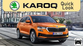 Old man moans about a perfectly good car for 14 minutes - Škoda Karoq - A Quick Look