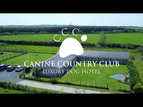 Canine Country Club Short Overview