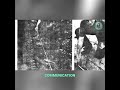Mysterious Forest Sounds: Patterns Reveal Terrifying Truth! #shorts