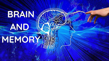 How does BRAIN Links Events to Form a Memory? | How we can improve our memory.