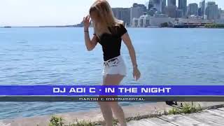 Dj adi c the night martik c remix