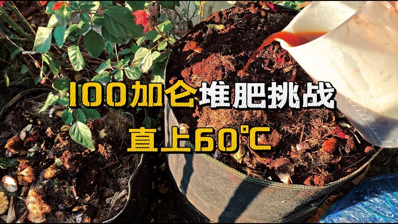 无盖有氧堆体 保持连续高温