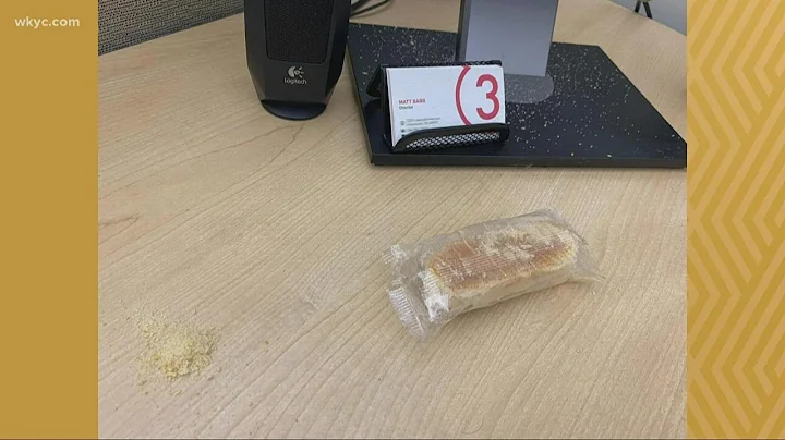 MUST WATCH | 9-year-old Twinkie takes a tumble