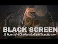 Dino Park - Dinosaur Soundscape in a Thunderstorm - 12 Hrs of Black Screen