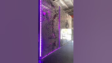 Khách hàng qua kho chọn tranh đá hoa đào xuyên sáng chưng tết rồi ạ #sieuthitranhdakfa #tranhda