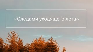 🍂Следами уходящего лета 🍂 Осенний лес 🍂