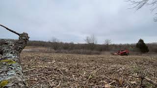 Kubota 97-2 skid steer and skid pro industrial brush cutter. #heavyequipment #kubota #brushcutter by Jon Matlock 77 views 1 year ago 33 seconds