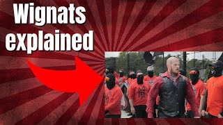 What is a Wignat? Uncovering the Truth Behind the Term