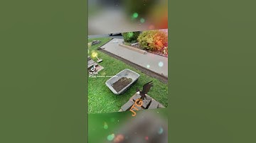 #stonework #exteriordesign #masonry #gardenmaintenance  #hardscaping #landscaping #patio #smile