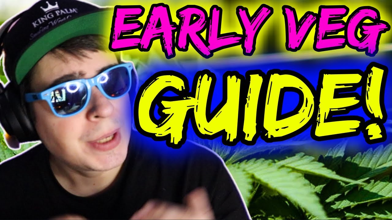 ПОЛНОЕ РУКОВОДСТВО ПО ВЫРАЩИВАНИЮ ОРГАНИЧЕСКИХ ОВОЩЕЙ НА РАННЮЮ СРЕДУ (МИНИ-СЕРИЯ РУКОВОДСТВ ПО В...