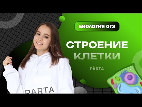 Строение клетки | Классификация всех органоидов для ОГЭ |БИОЛОГИЯ | PARTA ОГЭ 2023