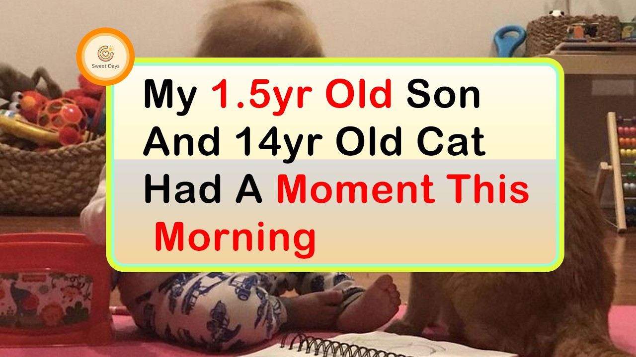 Times People Brightened Each Other’s Day With Wholesome Pics