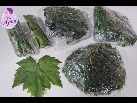 Video: Verwendung von frischen Weinblättern – Erfahren Sie mehr über das Pflücken von Weinblättern zum Essen