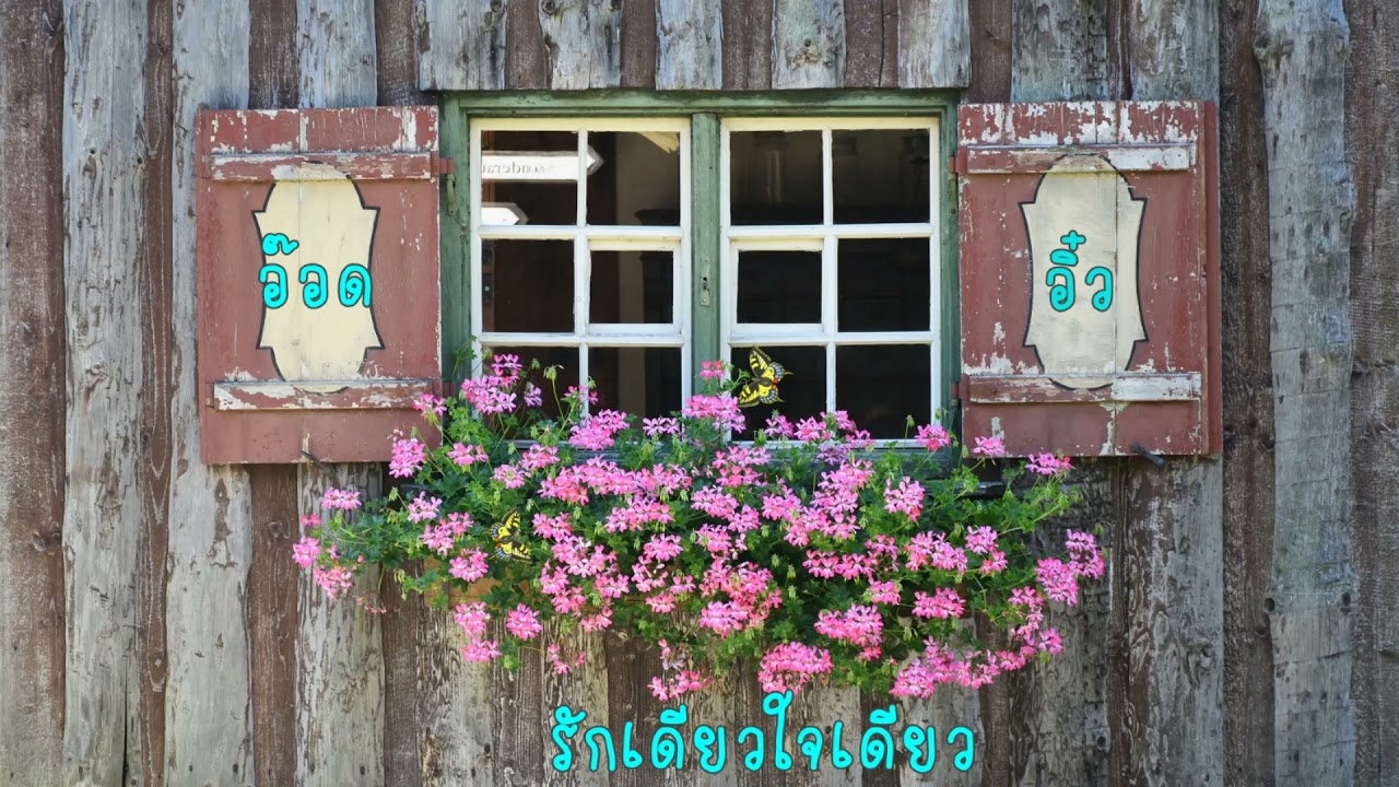 รักเดียวใจเดียว