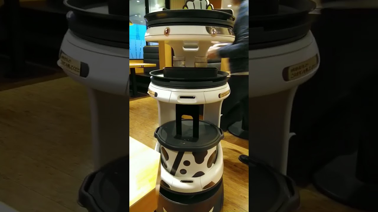 🇯🇵 Japan High Tech Restaurant Robot Serving Food Restaurant 