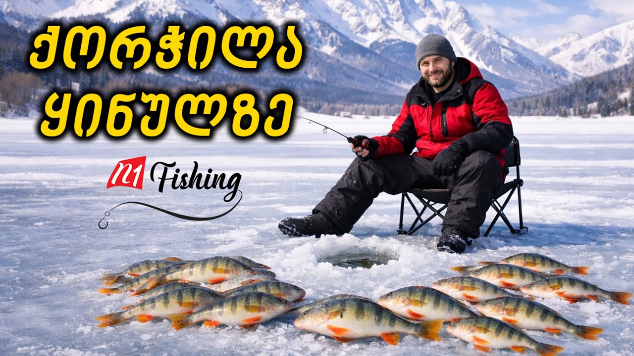 ქორჭილების შემოსევა ყინულზე ნამდვილი აზარტი @alexkhutsishvili