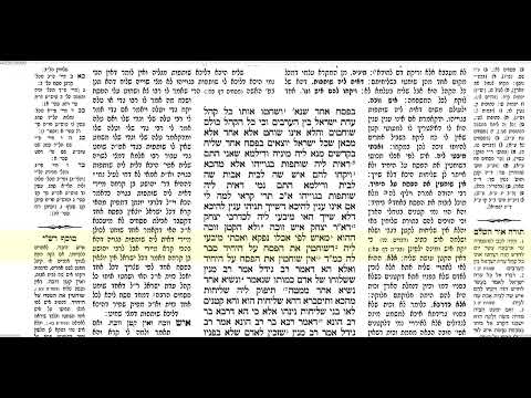 קידושין דף מב