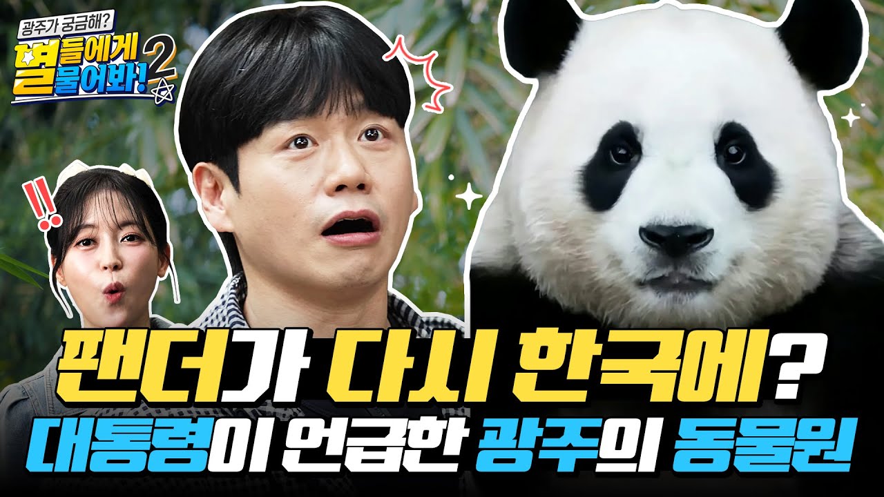 대통령이 직접 언급한 이 곳?! 🐼광주의 착한 동물원에 대해 물어봤습니다 | 별들에게 물어봐 시즌2 EP.2