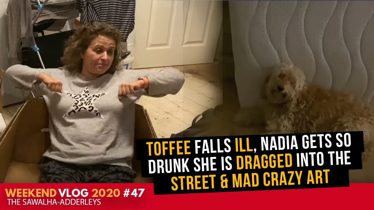 WEEKEND VLOG 47 TOFFEE Falls ILL, Nadia Gets So Drunk She Is DRAGGED Into the STREET & MAD CRAZY ART