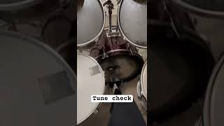 Rate the tuning #drums #drummers #drumcover #drumming #drumtuning #drumkey The Drum Key