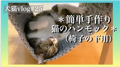 Has 犬猫vlog Youtube