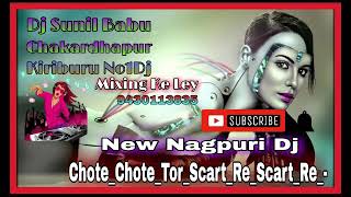 Chote_Chote_Tor_Scart_Re_Scart_Re_-_New_Nagpuri Dj Song Hard Mix Dj Sunil Babu Chakardhrpur Dj.mp3