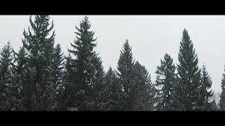Ski edit - Schladming, Austria 2018