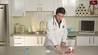 COMMON HOUSEHOLD ITEMS POISONOUS TO CATS The 3 Most Common Household Items That Will Poison Your Cat