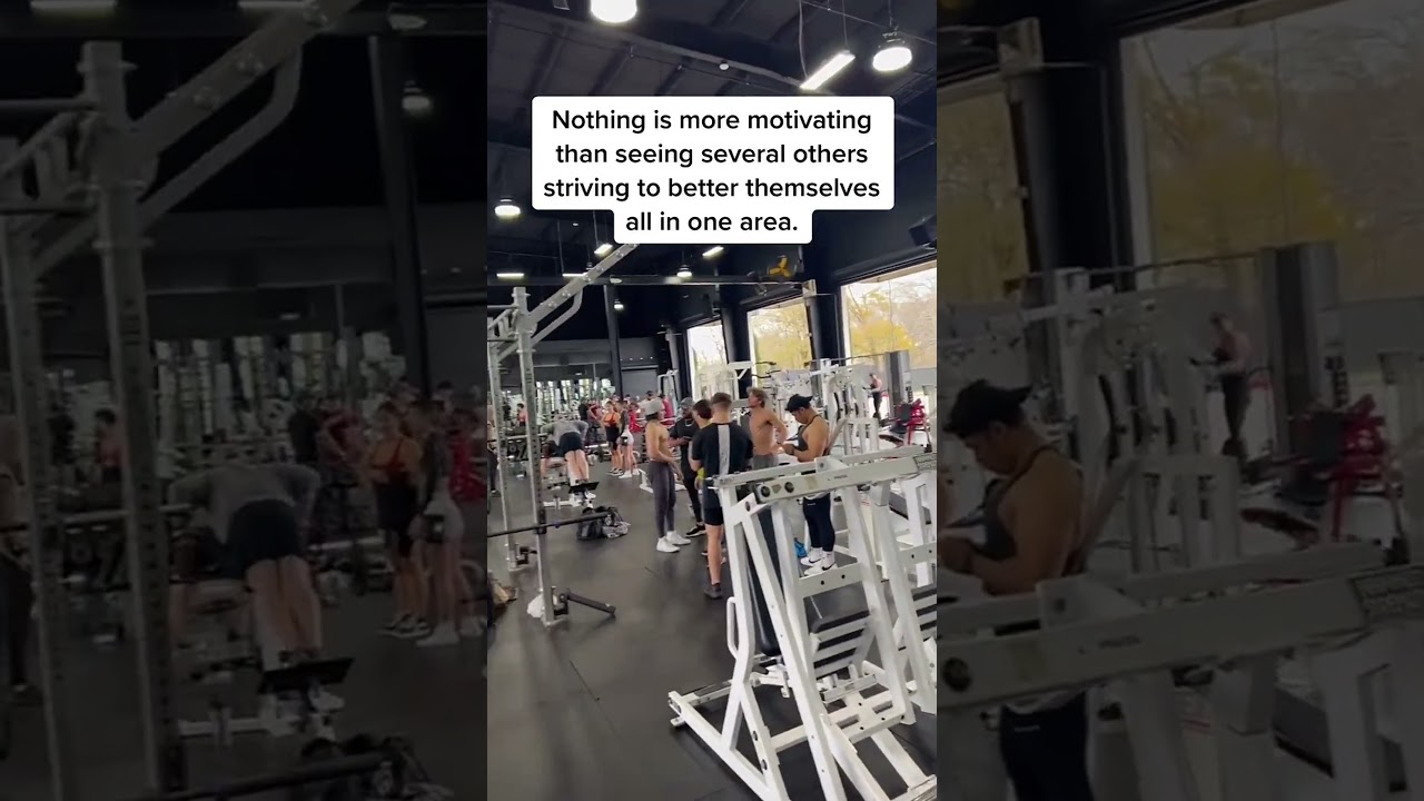 Alphaland vibes are undefeated 