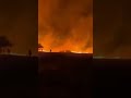 The fire in Israel | punishment from Allah!