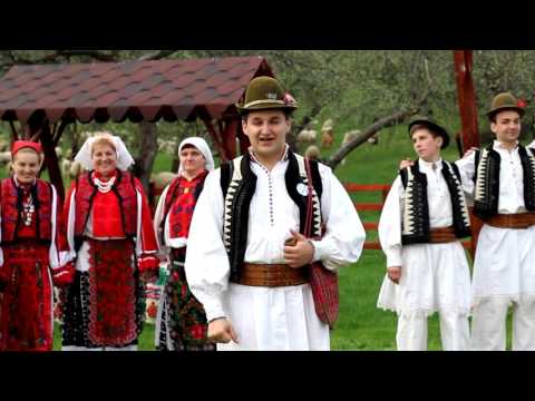 Feciorii din Poienita
