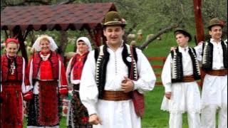 BOGDAN TOMA FECIORII DIN POIENITA