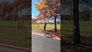 #bollywood #lifeisbutadream #minivlog #fallcolors#travel #selflove