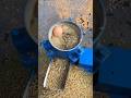 जानवरों के लिए दाना बनाने की और चारा बनाने की स्पेशल में#shorts video viral #viral ##farming video
