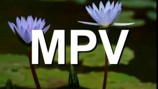 Mpv