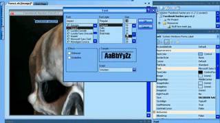 Membuat Aplikasi Hack Facebook dengan VB 2008 Bag 1 screenshot 5