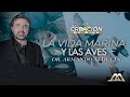 La Vida Marina y las Aves - La Creación de Dios