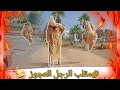 رجل عجوز  يتشقلب أمام المغاربة ! ردود فعل مضحكة 😂🔥