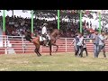 Caballos Bailadores Santiago Jamiltepec 23 de Julio del 2018 En Vivo Parte 2