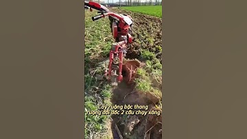 Máy cày ruộng đồi dốc, ruộng bậc thang 2 cầu chạy xăng  #nông_nghiệp #may #maycaytayninh