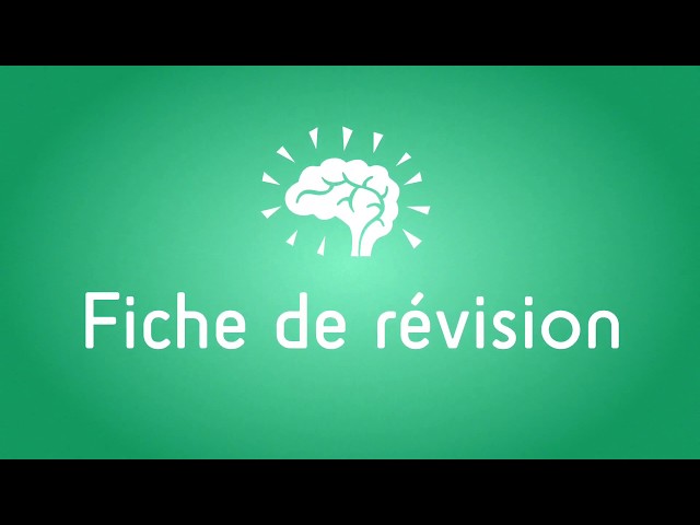 📄 Comment faire une Fiche de révision ? - Sherpas