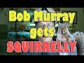 Bob murray goes nuts gets squirrelly over john oliver case dismissal