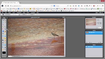 pixlr - crop & resize