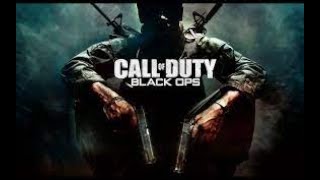 ?COD Black Ops 1 Max Settings 1080p (i9-11900F/RTX4060Ti/16GB)