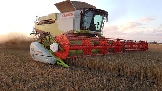 Javapjūtė 2018 / Žniwa 2018 / Harvesting 2018 / 2x Claas 670/770 / John Deere 8400R