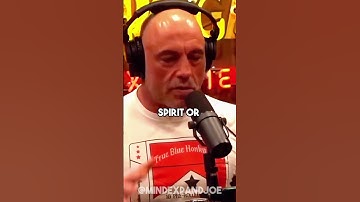 Joe Rogan Talks About How Psychedelics unlock Dimensions!? #joerogan #shorts #psychedelic