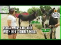 Ronda Rousey Walks Her Donkey Milly | Browsey Acres