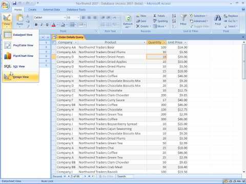 Access 2007 Using the Query Wizard