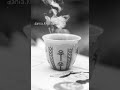 🖤 حب قهوتك متل ما هي ☕️🖤