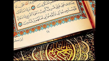 سورة الشرح - توفيق الصائغ